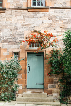 Old House Blue Green Wooden Door Wallpaper