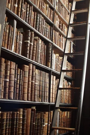 Old Library With Ladder And Bookshelf Wallpaper