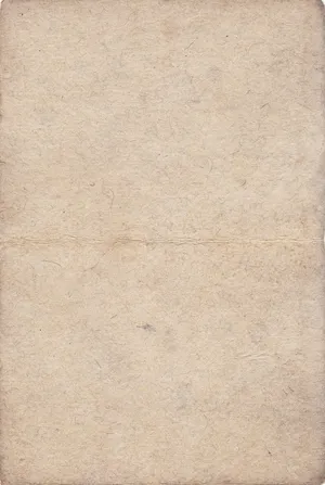 Old Paper Texture Light Gray Parchment Wallpaper