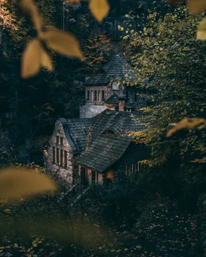 Old Stone House In A Dense Forest Wallpaper