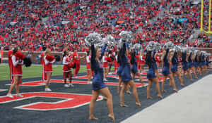 Ole Miss Cheerleaders Wallpaper