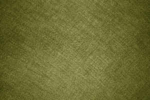 Olive Green 3888 X 2592 Wallpaper Wallpaper