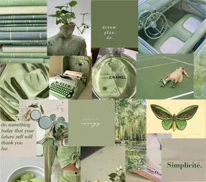 Olive Green Aesthetic Collage Wallpaper