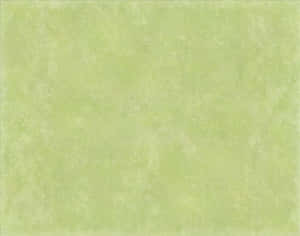 Olive Green Serenity Wallpaper