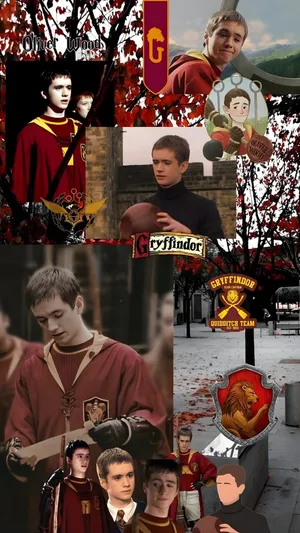 Oliver Wood Gryffindor Captain Wallpaper