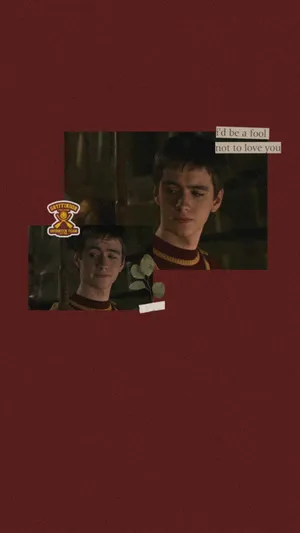 Oliver Wood Quidditch Captain Wallpaper