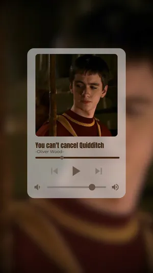 Oliver Wood Quidditch Quote Wallpaper