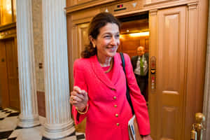 Olympia Snowe In Pink Dress Wallpaper