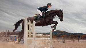 Olympic Sports Equestrian Wallpaper