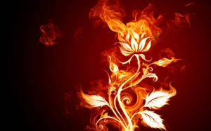 On Fire Flower Wallpaper