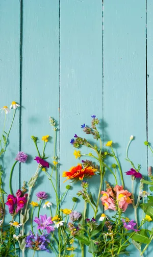 One Laptop Computer With A Greenery Background Wallpaper