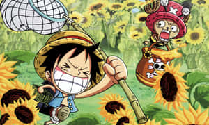 One Piece Characters Assemble Wallpaper