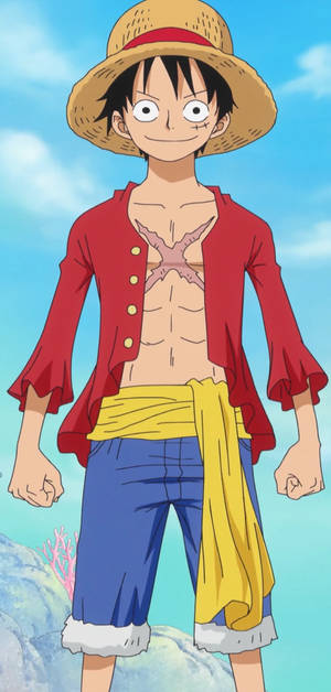 One Piece Iphone Luffy Body Portrait Wallpaper