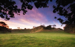 One Tree Hill Auckland Dusk View Wallpaper