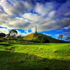 One Tree Hill Auckland Monument Wallpaper