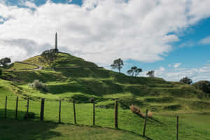 One Tree Hill Auckland Monument Wallpaper