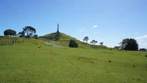 One Tree Hill Auckland Monument Wallpaper