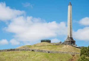 One Tree Hill Monument Auckland Wallpaper