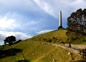 One Tree Hill Monument Auckland Wallpaper