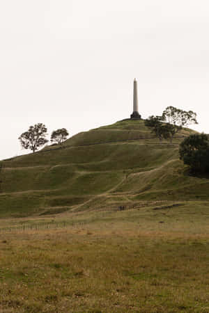 One Tree Hill Monument Auckland Wallpaper