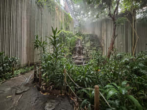 Ontario Science Centre Rainforest Exhibit Wallpaper