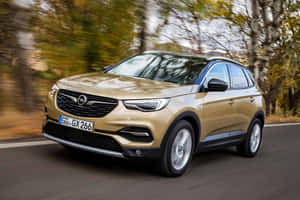 Opel Grandland X In A Stunning Outdoor Setting Wallpaper