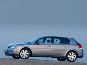 Opel Signum Side Profile Wallpaper