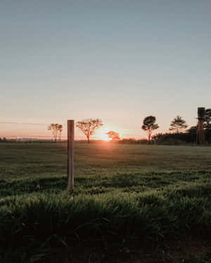 Open Field Of Grass Cute Country Wallpaper