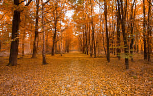 Open Road Under Sunrise Skies Wallpaper