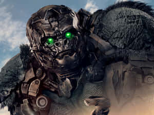 Optimus Primal Close Up Wallpaper