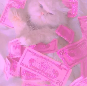 Opulent_ Feline_ Amid_ Pink_ Bills.jpg Wallpaper