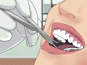 Oral Health Illustration Wallpaper