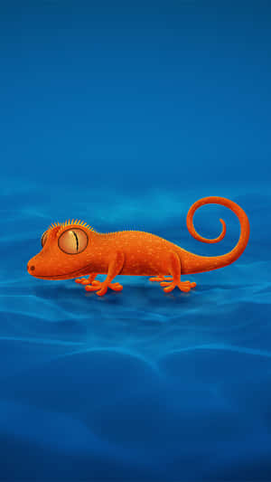 Orange Chameleon Blue Background Wallpaper