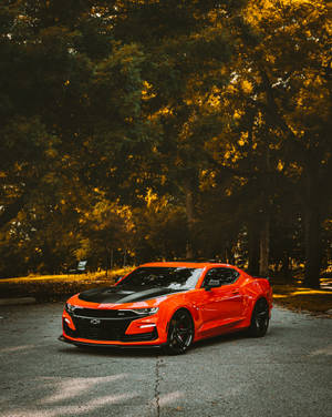 Orange Chevrolet Camaro In Autumn Wallpaper