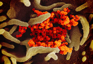 Orange Coronavirus Dna Wallpaper