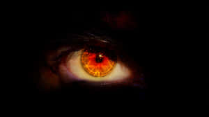 Orange Eye Closeup In The Dark Wallpaper