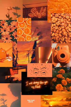 Orange Grunge Aesthetic Collage Wallpaper