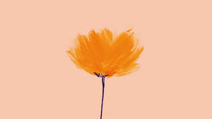 Orange Minimalist Flower Computer Wallpaper