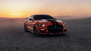 Orange Shelby G T500 Sunset Desert Wallpaper