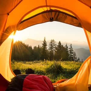 Orange Tent Outside View Wallpaper