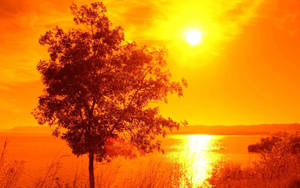 Orange-tinted Sunrise Nature Wallpaper