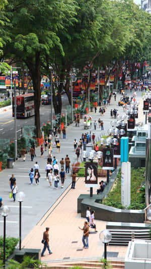 Orchard Road Singapore Bustling Daytime Wallpaper