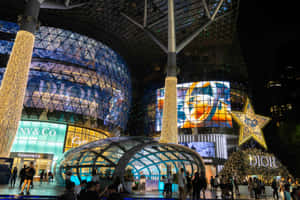 Orchard Road Singapore Nighttime Shopping District Wallpaper