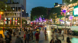 Orchard Road Singapore Twilight Bustle Wallpaper