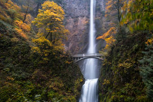 Oregon Multnomah Bridge Wallpaper