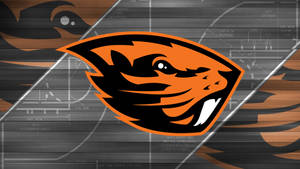 Oregon State University Logo Basketball Court Wallpaper