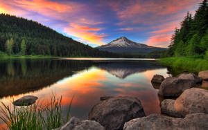 Oregon Trillium Lake Wallpaper