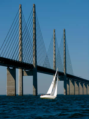 Oresund Bridge White Sailboat Wallpaper