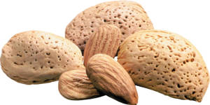 Organic Almond Shells Wallpaper