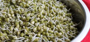 Organic Green Bean Sprouts Vegetable Wallpaper